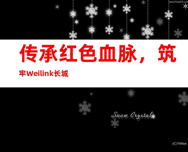 传承红色血脉，筑牢Weilink长城